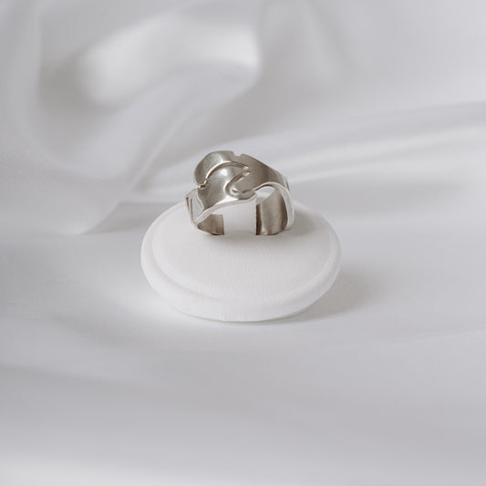 Anello a fascia Collezione Venessie